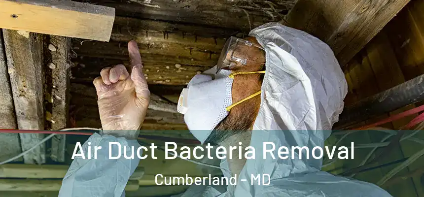  Air Duct Bacteria Removal Cumberland - MD