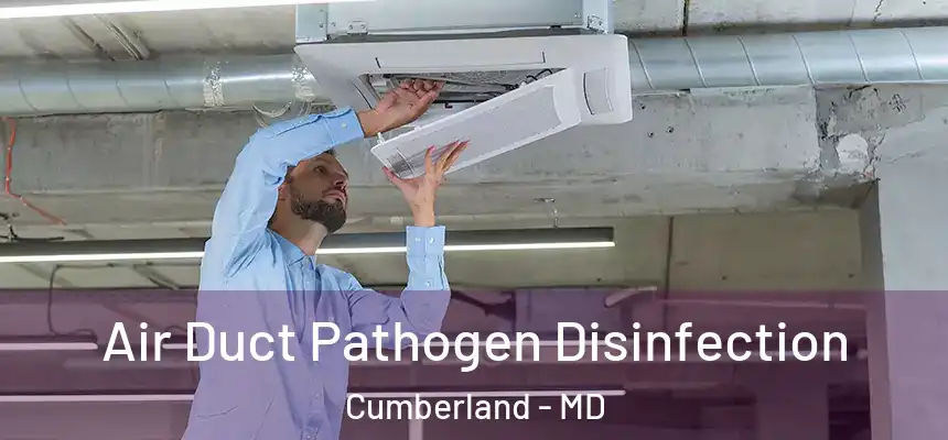  Air Duct Pathogen Disinfection Cumberland - MD
