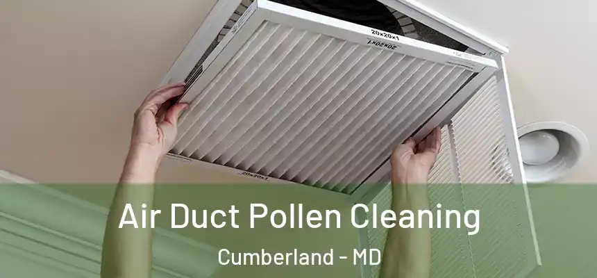  Air Duct Pollen Cleaning Cumberland - MD