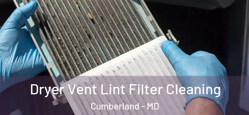 Dryer Vent Lint Filter Cleaning Cumberland - MD