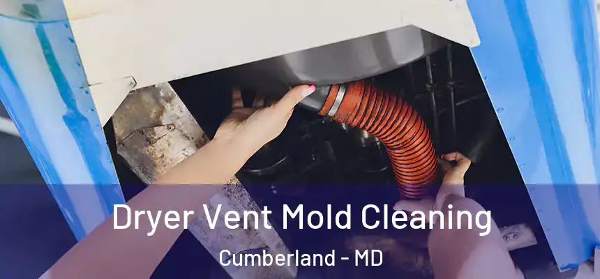 Dryer Vent Mold Cleaning Cumberland - MD