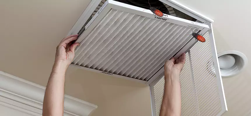 Preventive Cockroach-Proofing for Ducts in Cumberland