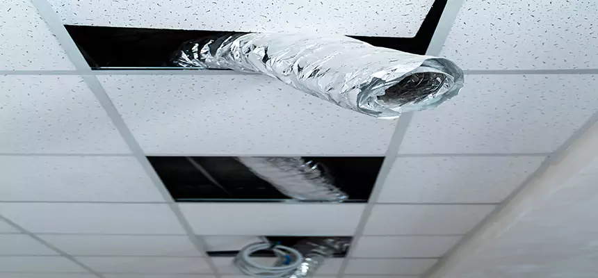 Affordable HVAC Sanitizing After Pest Removal in Cumberland