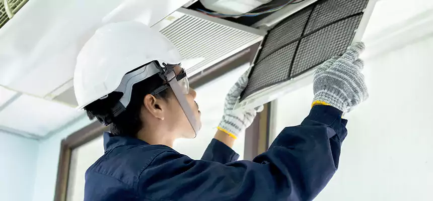 Our Mold & Mildew Removal from Air Ducts Services in Cumberland, MD