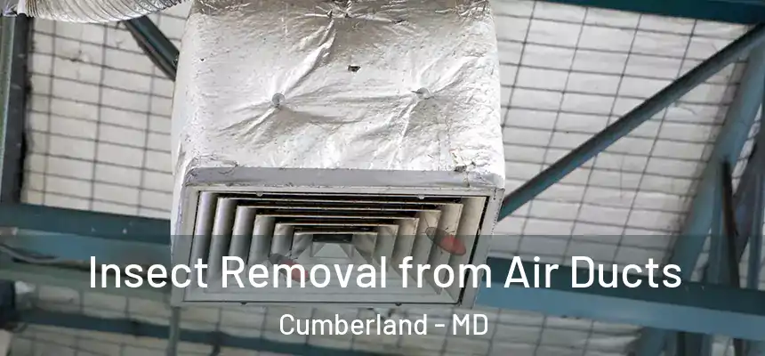  Insect Removal from Air Ducts Cumberland - MD