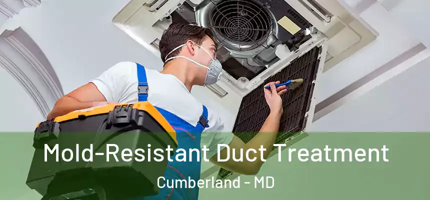  Mold-Resistant Duct Treatment Cumberland - MD