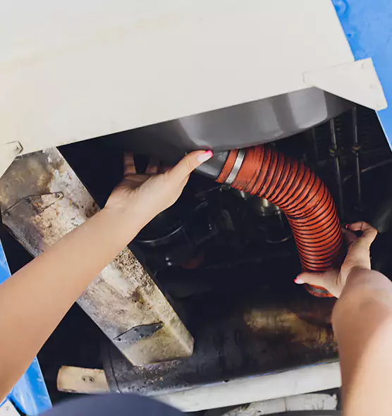 About Air Duct Virus Disinfection in Cumberland, MD