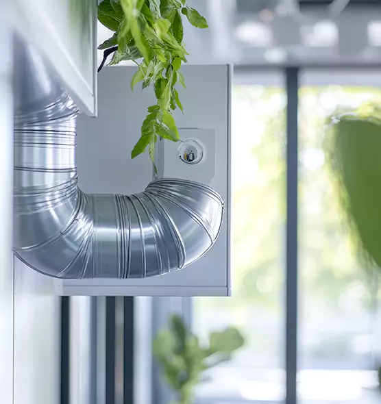 Professional Eco-Friendly Duct Cleaning Services in Cumberland, MD