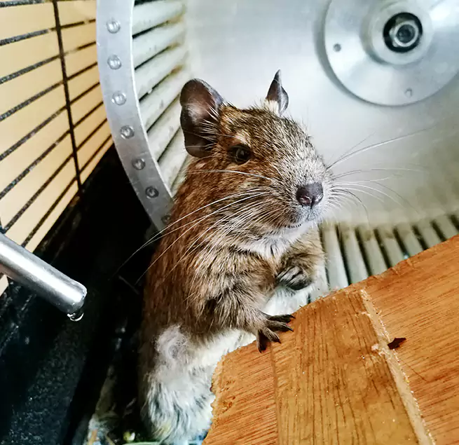 Why Homeowners & Businesses Trust Us Cumberland, MD