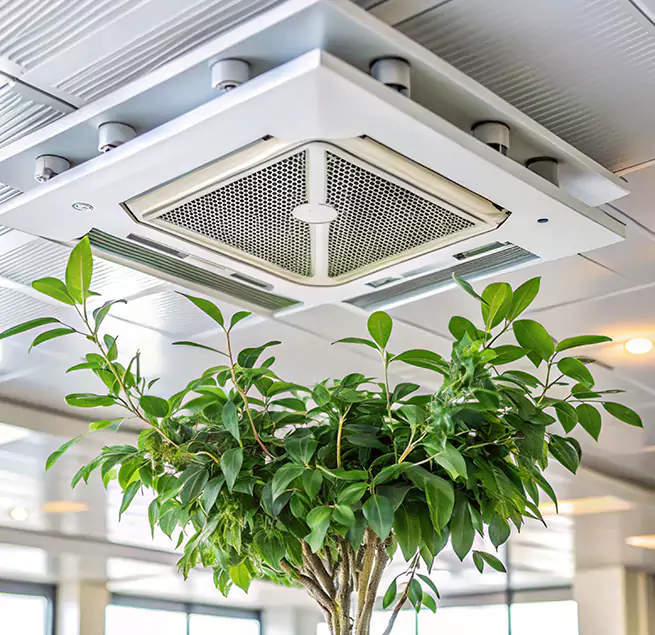 Why Homeowners & Businesses Trust Us in Cumberland, MD?