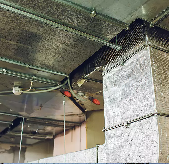 Why Homeowners & Businesses Trust Us Cumberland, MD?